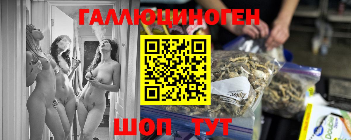 Псилоцибиновые грибы GOLDEN TEACHER Коряжма